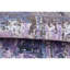 Area Rug-909528726