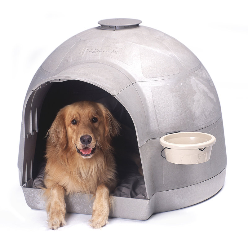Dog House