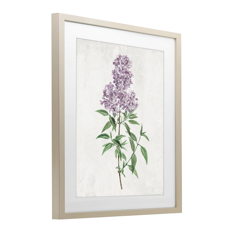 «Lilac Blossoms Blooms», reproduction encadrée sous verre, conception de Kim Allen, H 16 po x l 13 po