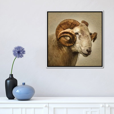 " Ram " by Mark Gemmell
