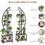 Plant Stand - Set of 2