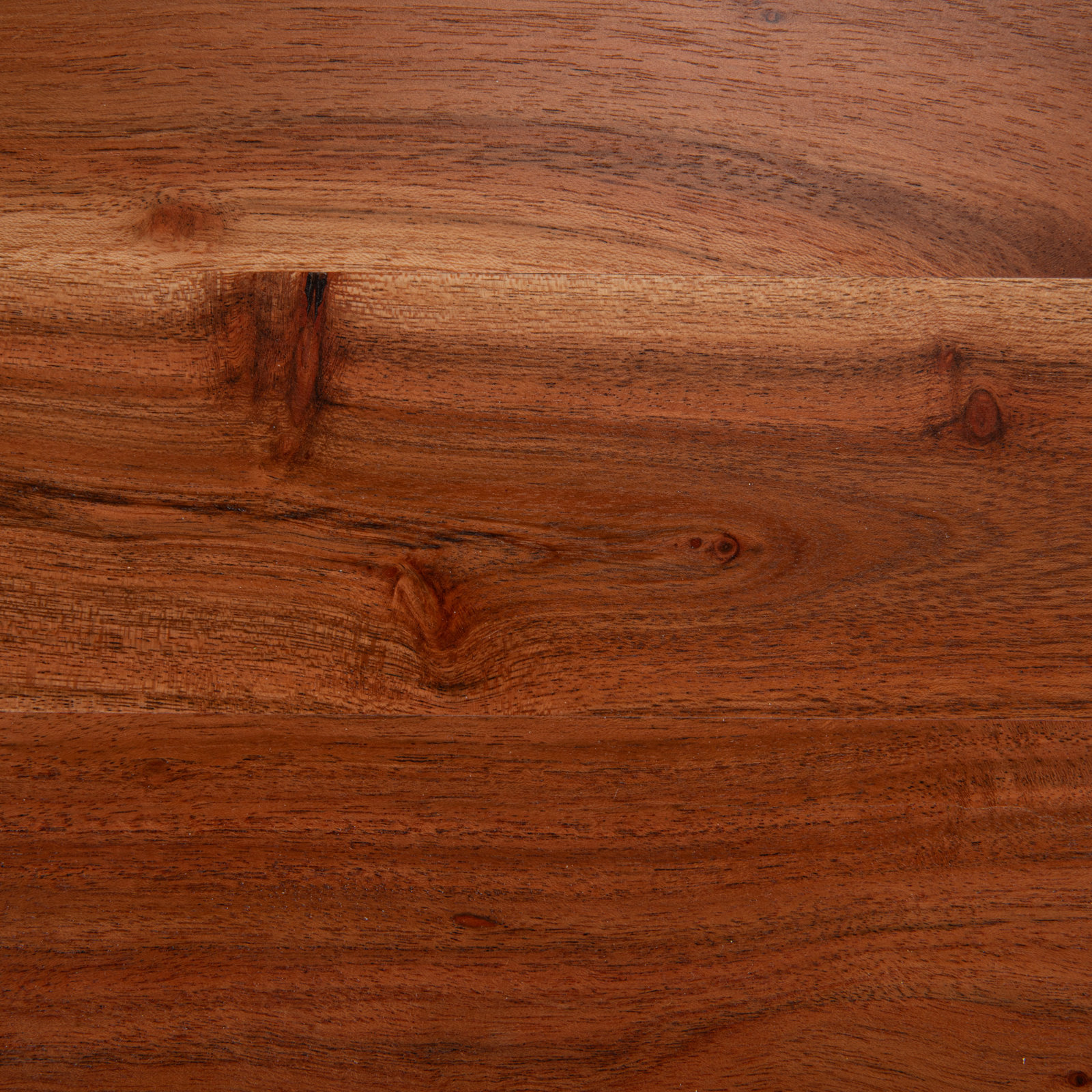 Titus 20" Acacia End Table
