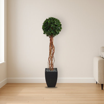 English Ivy Topiary Tree in Planter UV