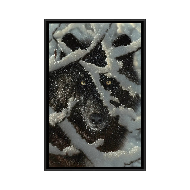 Winter's Black Wolf by Collin Bogle - Print on Canvas, 152.5 cm H x 101.5 cm W, Black Framed