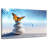 Butterfly Serenity-107699553