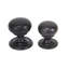 Oval Mushroom Knob-51984237-73711338