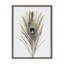 «Peacock Feather» par Simon Te, reproduction d'art sur toile encadrée-88967710