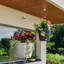 Hanging Planter-16493104-66329966