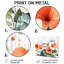 «Red Blooming Poppy Gardens In The Spring - Fleurs», décoration murale en métal, impression moderne sur métal-66318528