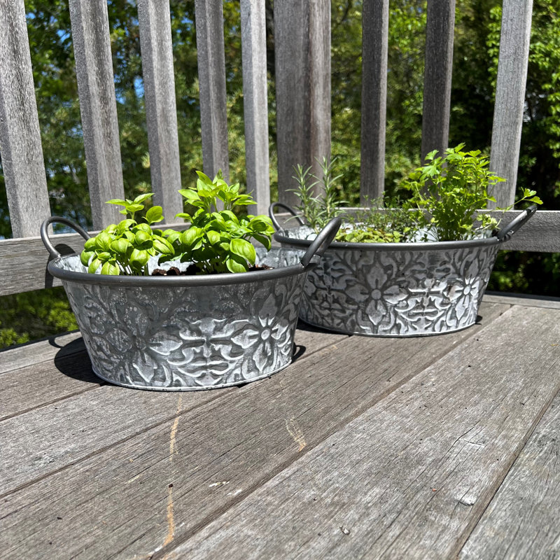 Aracelys Embossed Acanthus Leaf Planters, Set of 2
