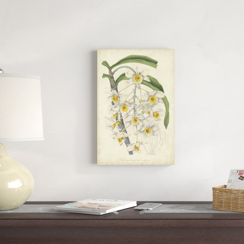 Orchid Delight III, H 18 po x l 12 po x P 1,25 po