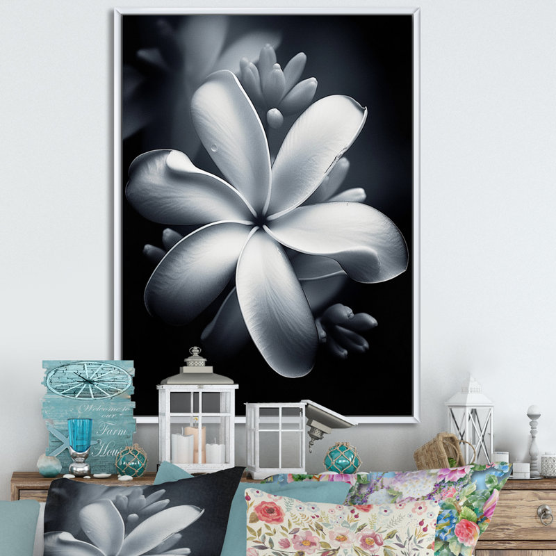 Blanc et noir exotique Plumeria Bloom II, H 20 po x l 12 po x P 1 po, Cadre flottant blanc