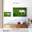 Brampt Spring Grass Pig-108875405