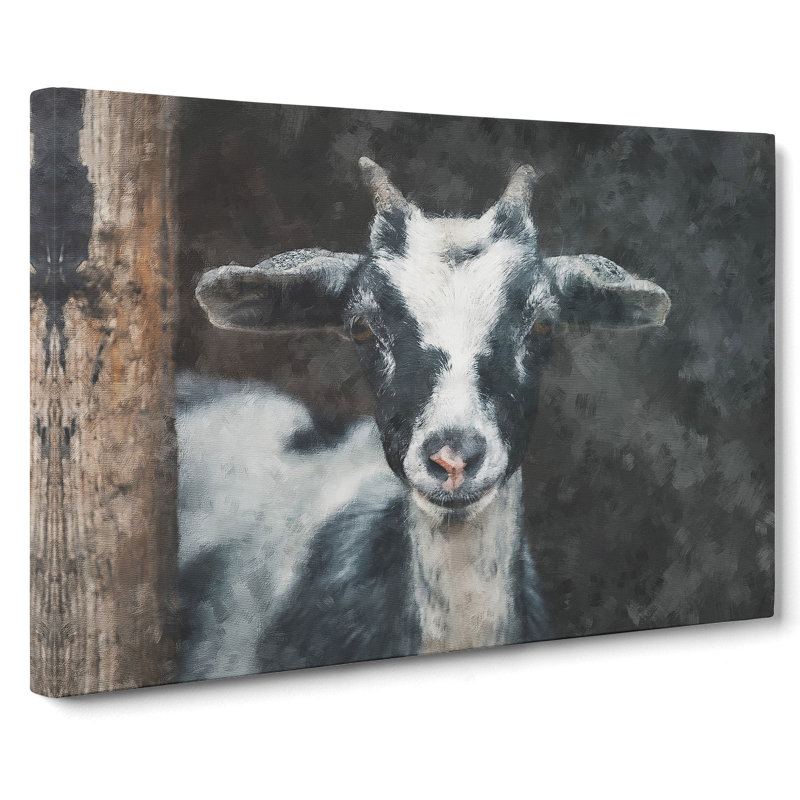 Goat Vol.2 - Wrapped Canvas, 35cm H x 50cm W x 3cm D