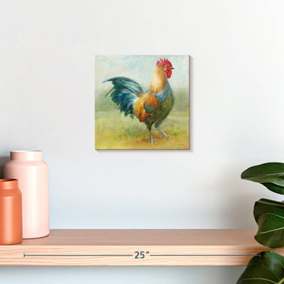 Brampt Noble Rooster IV