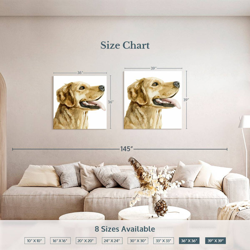 Brampt Pet Profile II, 36" H x 36" W