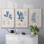 Algues bleu marine VI-91887797-91887800