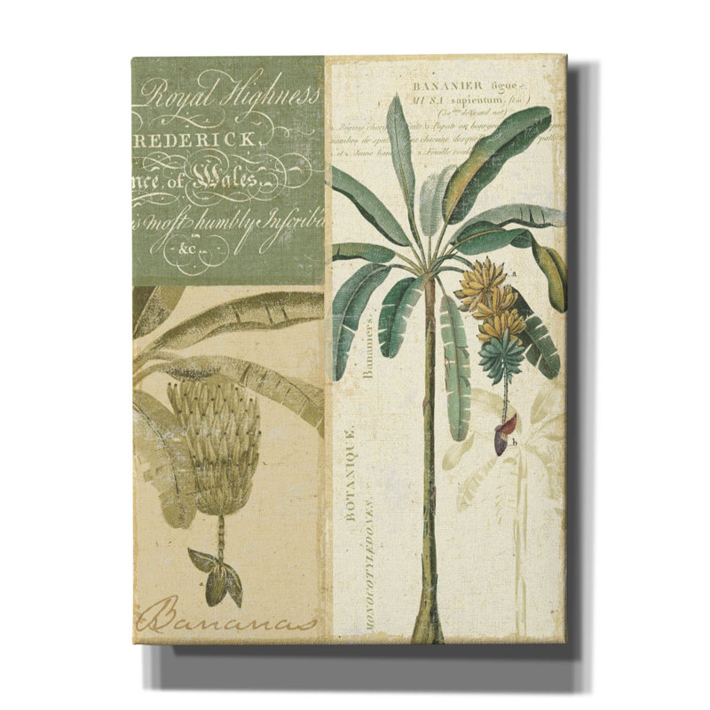 «Palm Study I» par NBL Studio, H 54 po x l 40 po x P 1,5 po