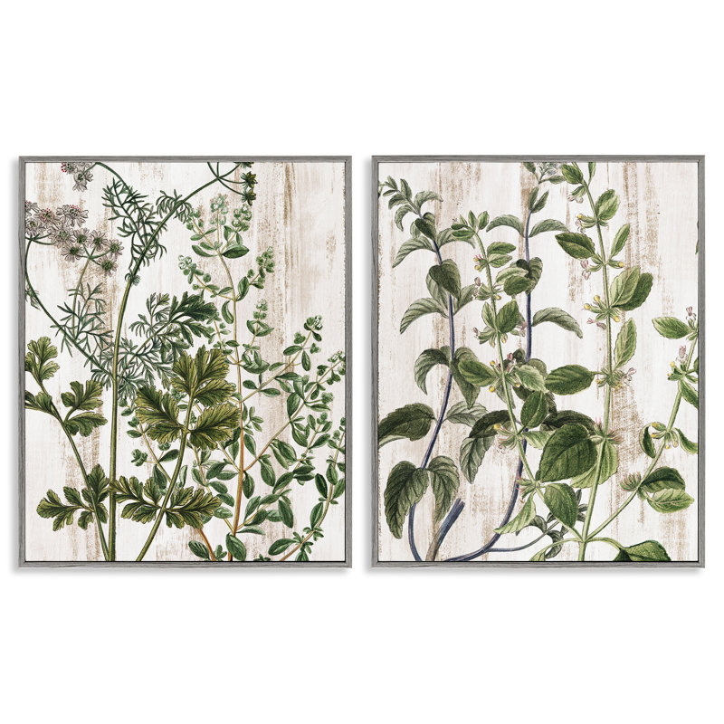 «Aged Botanical Leaves», ensemble de 2 giclées encadrées par Kim Allen, H 30 po x l 24 po, Estampe numérique Farmhouse