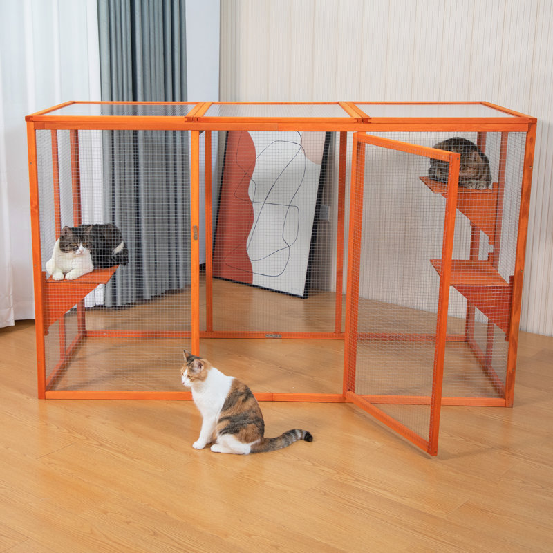 Cat Cage, Orange