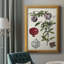 «Pomegranate Composition I», toile encadrée de qualité supérieure - prête à être accrochée-858122286