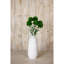 Anastasija Arrangement-904165070