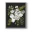 Alabaster Bouquet II, reproduction encadrée - bois massif-781363156-781363150