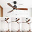 60 Inch Modern Ceiling Fan With Light Remote Control, 3 Solid Wood Blades, Suitable For Indoor And Outdoor-790340110-790340104