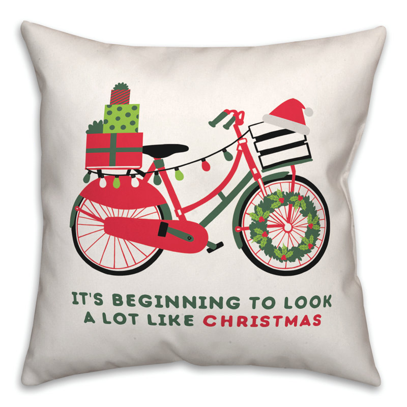 Throw Pillow, 20" x 20"