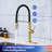 Rainlex Pull Out Kitchen Faucet-64540360