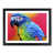 Black Framed selected