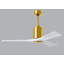 Patricia LED Downrod Ceiling Fan-1286615720-1304435242-1248882459