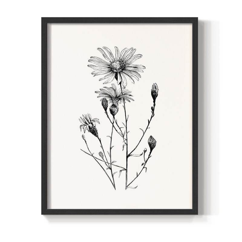 «Vintage Floral Print XXIII» sur, Noir