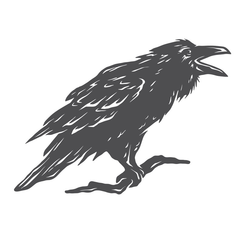 Black Crow by MaksTRV - Wrapped Canvas Print, 76cm H x 76cm W x 3.8cm D