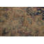 Tapis traditionnel en laine 9 x 13