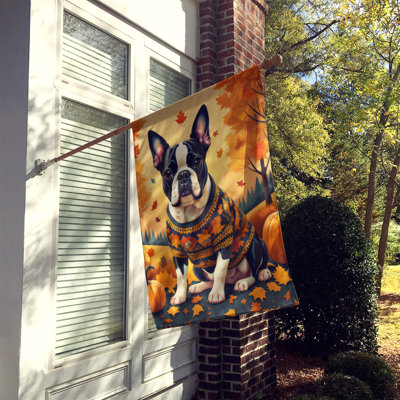 Double Sided 40'' H x 28'' W Polyester House Flag
