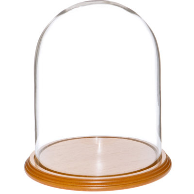 Jenett Glass Display Dome Cloche