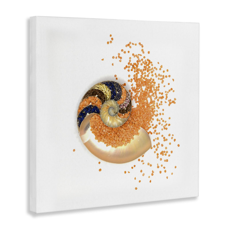 Orange Nautilus Spiral Canvas, design by Beth Adoette, 24" H x 24" W