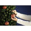 5.51' H Artificial Pine Christmas Tree