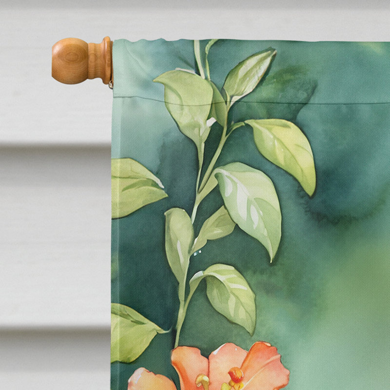 House Flag, Rufous Hummingbird