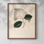 Impression florale rétro sur papier-649870544-649870547