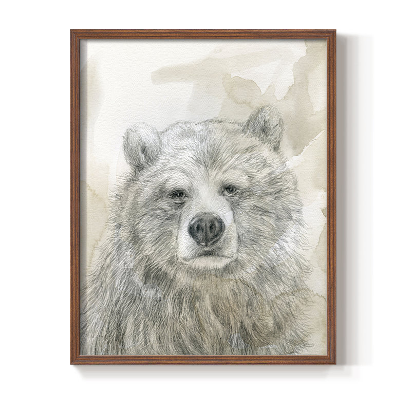 Woodland Sketch Bear Framed Print - Solid Wood, Noyer, H 15 po x l 12 po