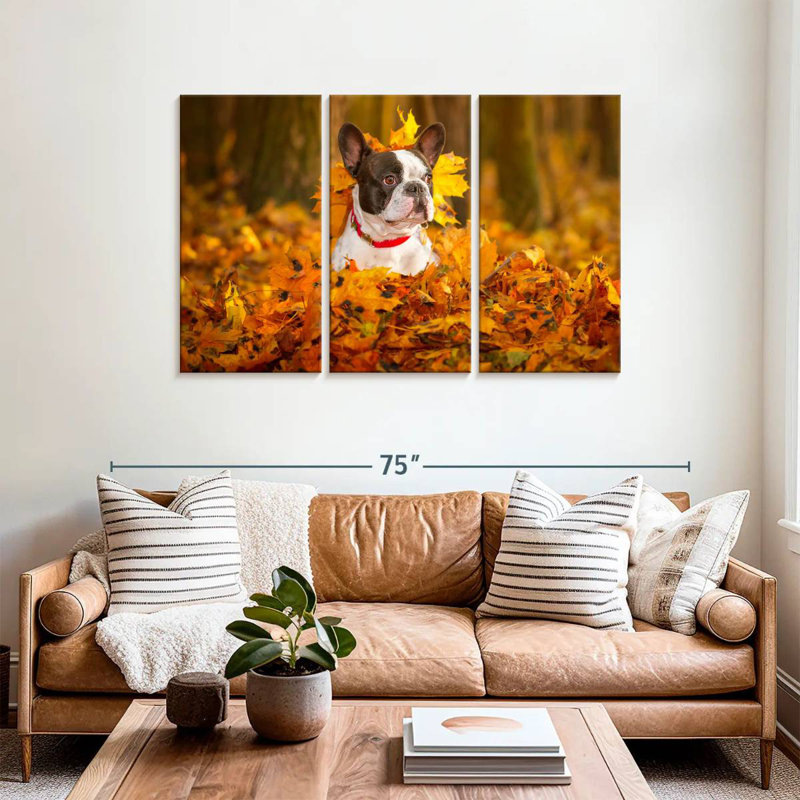 Bouledogue français Brampt dans un parc en automne, H 36 po x l 57 po