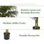 Palmier artificiel 78 po en pot