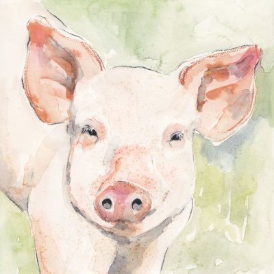 Sunny The Pig I