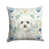 Bichon Frise