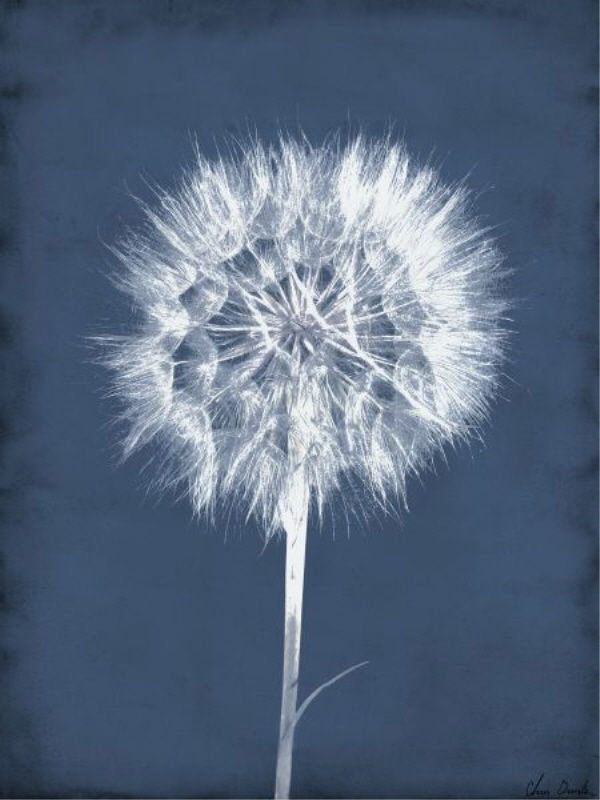 Puffy Seed III par Chris Dunker - Peinture, L 30 po x H 40 po x P 1,5 po, Plexi