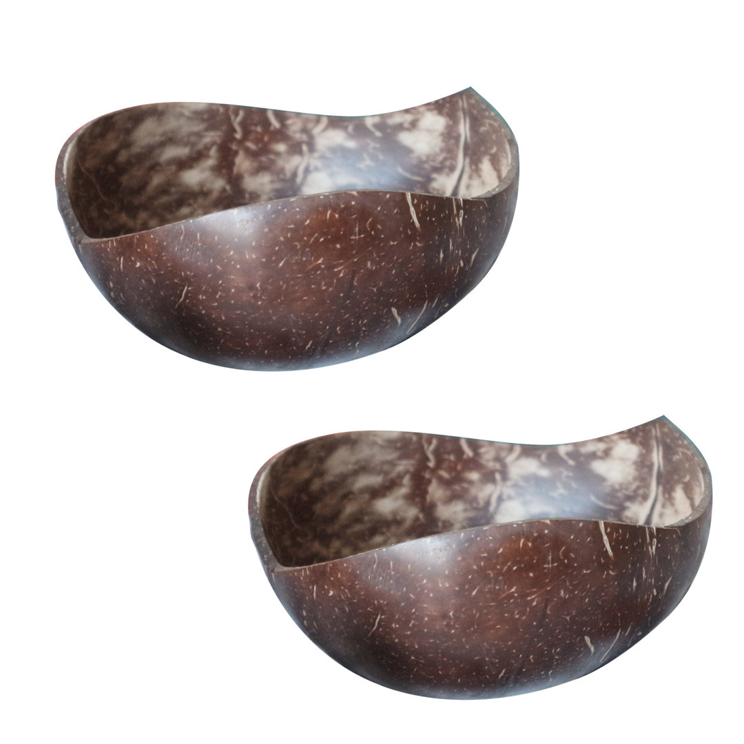 Bay Isle Home Mundubbera Coconut Shell Serving Bowl