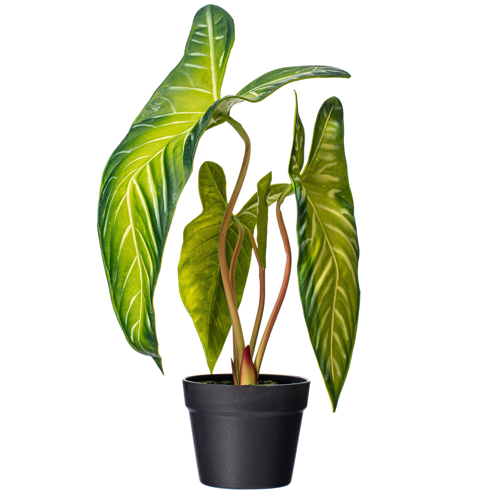 22.5'' Faux Alocasia Plant in Pot