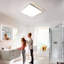 Briyona LED Flush Mount